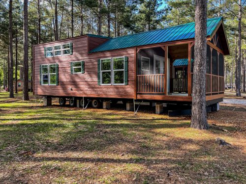 A modern wooden cabin with a green metal roof, surrounded by tall trees in a forested area.