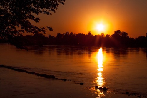Sunset over a calm river, with golden reflections on the water and silhouettes of trees along the shore.