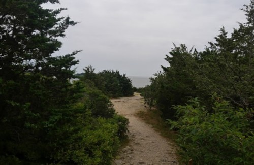 A sandy path leads through greenery towards a cloudy sky and distant water.