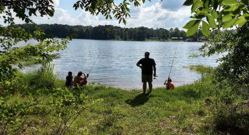 A group of people fishing by a serene lake, surrounded by greenery and under a bright blue sky.