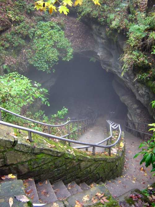 A stone staircase leads down into a misty cave entrance, surrounded by lush greenery and autumn leaves.