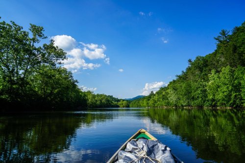 A serene river scene with lush green trees and a clear blue sky, viewed from the front of a canoe.