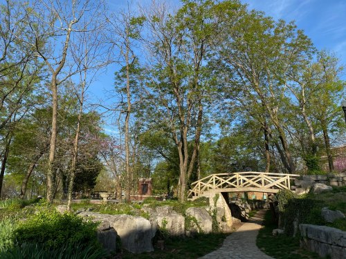 A serene park scene featuring a wooden bridge, lush trees, and rocky pathways under a clear blue sky.