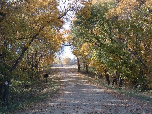 A dirt road lined with trees displaying vibrant autumn foliage in shades of yellow and orange.