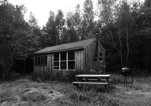 A rustic wooden cabin surrounded by trees, with a picnic table and grill in a grassy area. Black and white photo.