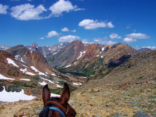 A scenic mountain view with a horse's ears in the foreground, showcasing rugged peaks and a valley below.