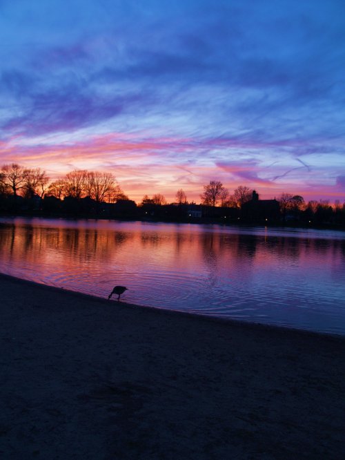 A serene lake at sunset, with vibrant pink and purple skies reflecting on the water and a bird wading at the shore.