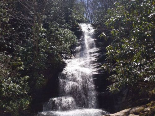 A cascading waterfall surrounded by lush green foliage and trees in a serene natural setting.