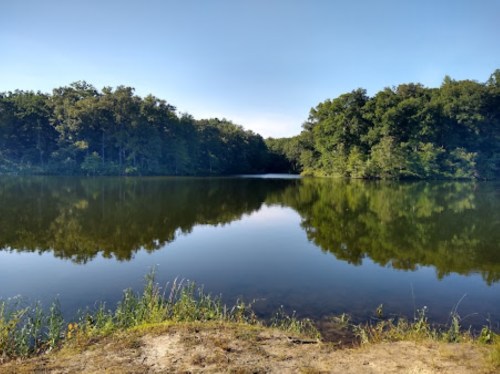 A serene lake surrounded by lush trees, reflecting the clear blue sky and greenery on its calm surface.