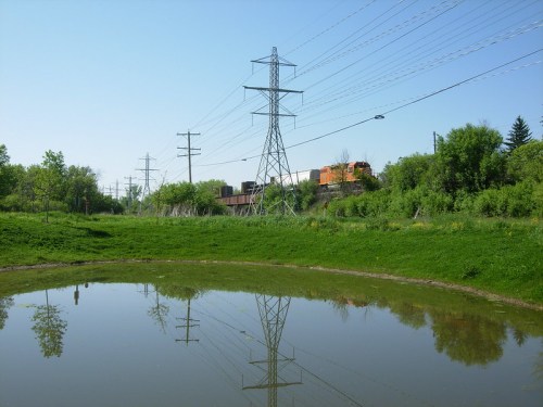 A tranquil scene featuring a pond reflecting power lines and a train passing through lush greenery under a clear blue sky.