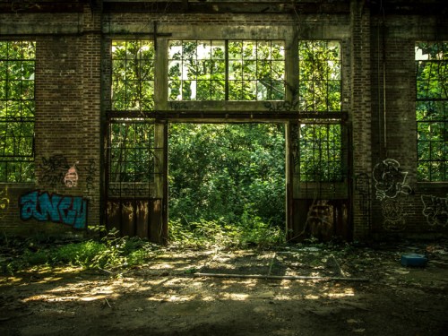 Abandoned building with large windows overgrown by greenery and graffiti on the walls, creating a contrast of nature and decay.