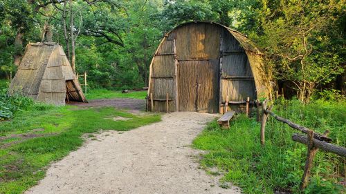 Two rustic wooden structures in a lush green forest, with a sandy path leading between them.