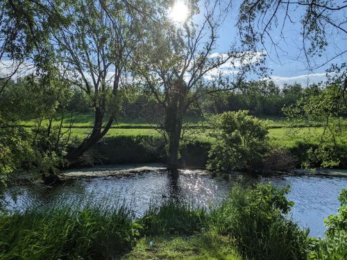 A serene river scene with lush greenery, trees, and sunlight reflecting on the water's surface.