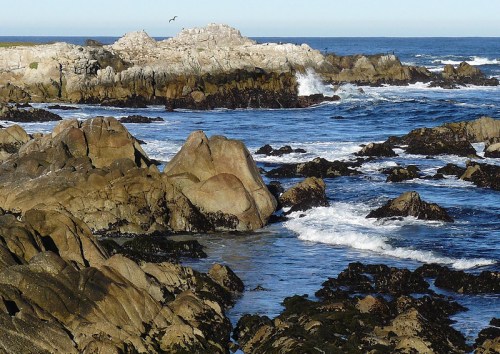 Rocky coastline with waves crashing against boulders and a clear blue sky in the background.