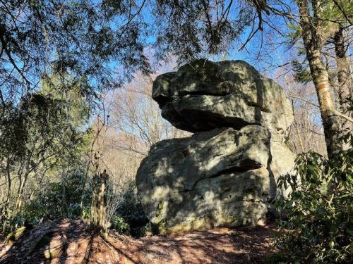 A large, weathered rock formation surrounded by trees and greenery under a clear blue sky.