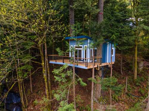 A modern treehouse perched among tall trees, featuring a wooden deck and large windows, surrounded by lush greenery.