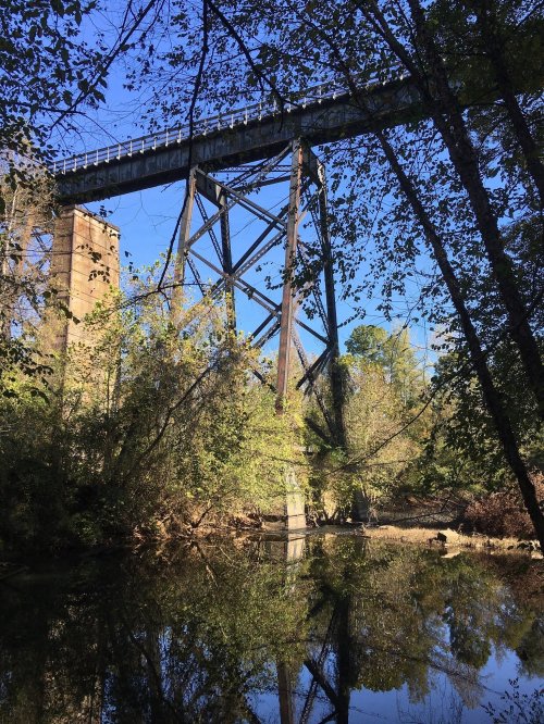 A tall railway bridge spans over a calm river, surrounded by lush greenery and trees reflecting in the water.