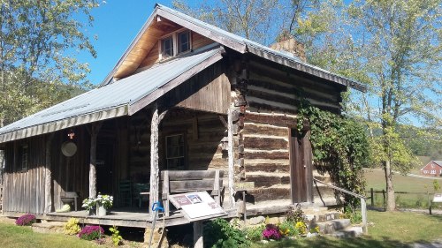 A rustic log cabin with a metal roof, surrounded by greenery and colorful flowers under a clear blue sky.