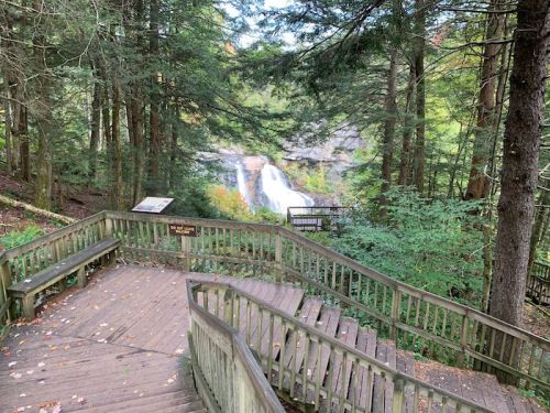 A wooden staircase leads down through trees to a waterfall in a forested area, with a sign visible on the left.