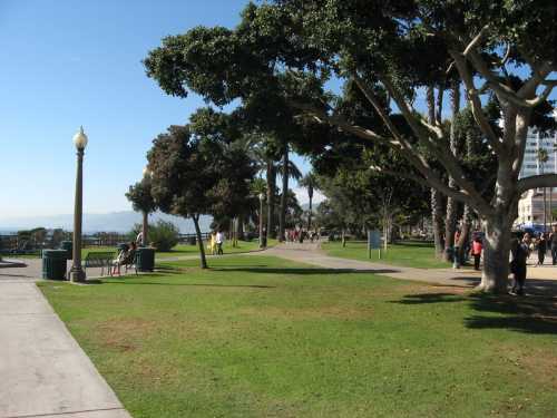 A sunny park pathway lined with trees, people walking, and a view of the ocean in the distance.