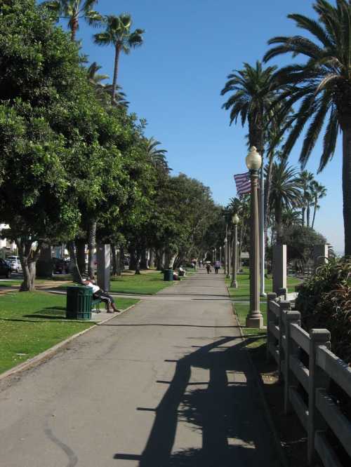 A sunny walkway lined with palm trees, benches, and green trash bins, with people strolling in the distance.