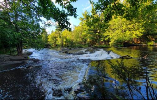 A serene river flows through lush greenery, with gentle rapids and sunlight filtering through the trees.