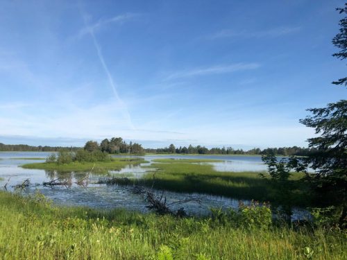 A serene landscape featuring a calm lake surrounded by lush greenery and trees under a clear blue sky.