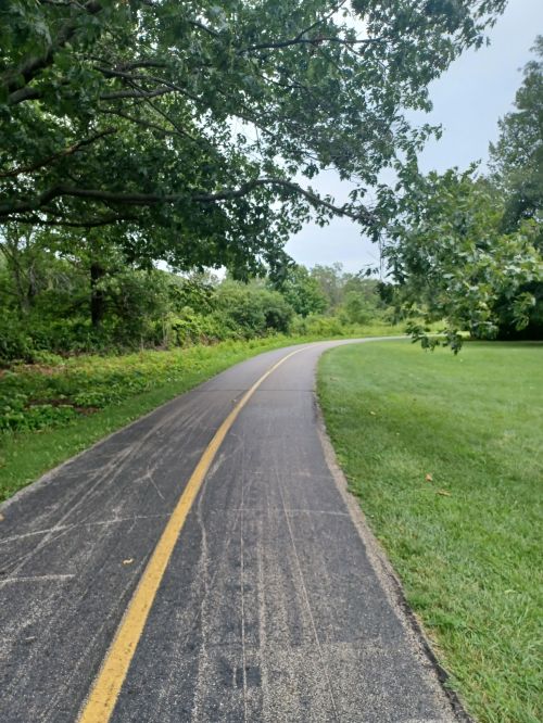 A winding path through a green park, bordered by trees and grass under a cloudy sky.