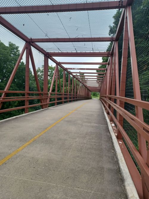 A metal pedestrian bridge with a netted roof, surrounded by greenery, leading into the distance.