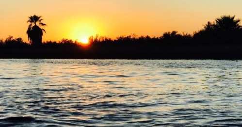 Sunset over calm water, with silhouettes of palm trees against a vibrant orange and yellow sky.