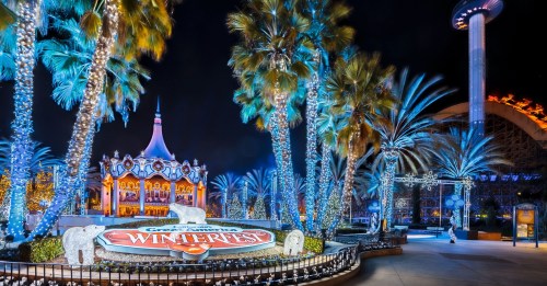 A festive scene at Great America Winterfest, featuring illuminated palm trees and a colorful entrance sign at night.