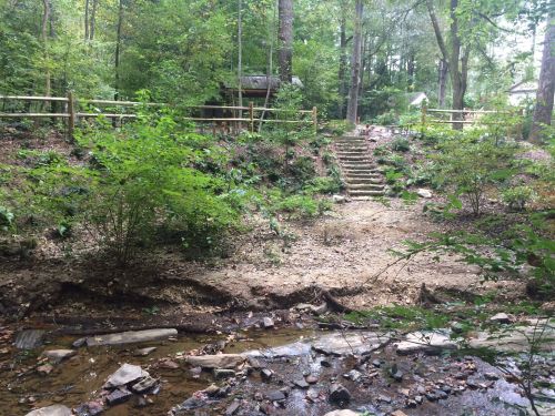 A serene forest scene with a dry creek bed, stone steps, and lush greenery surrounding a rustic cabin.
