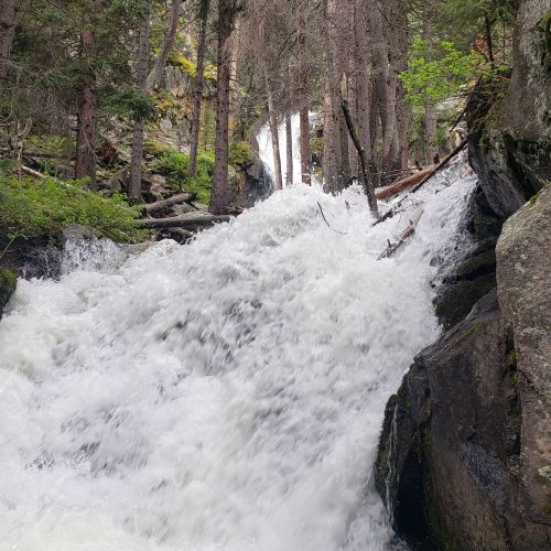 A rushing waterfall cascades over rocks, surrounded by lush greenery and tall trees in a serene forest setting.