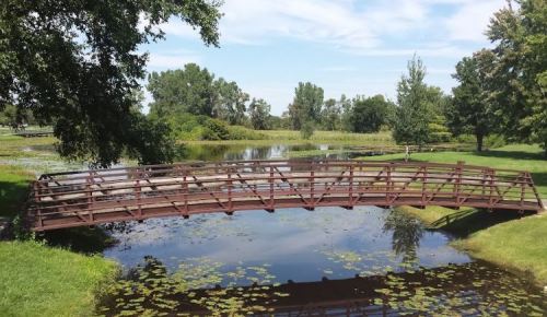 A wooden bridge arches over a calm pond, surrounded by lush greenery and trees under a blue sky.