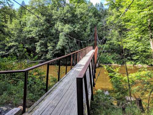 A wooden suspension bridge spans a river, surrounded by lush green trees and a calm, muddy waterway below.