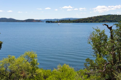 A serene lake scene with gentle waves, green trees, and a sailboat in the distance under a clear blue sky.
