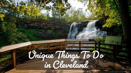 A scenic view of a waterfall surrounded by lush greenery, with a wooden viewing platform in Cleveland.