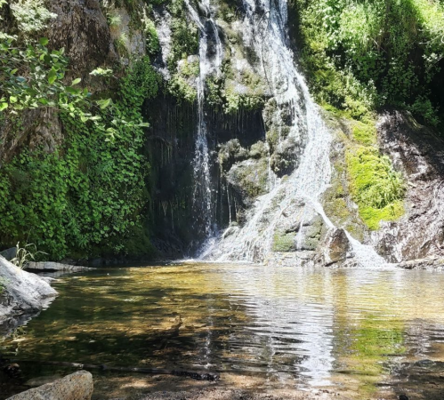 A serene waterfall cascading into a clear pool, surrounded by lush greenery and rocky terrain.