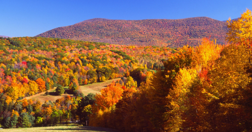 Vibrant autumn landscape with colorful trees and rolling hills under a clear blue sky.