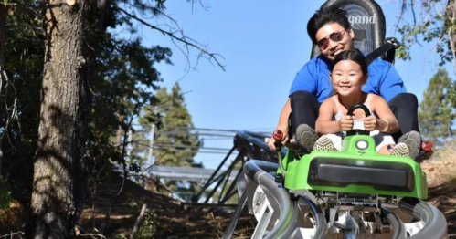 A man and a child enjoy a ride on a green roller coaster through a wooded area, smiling and having fun.