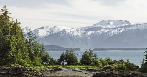 A scenic view of snow-capped mountains overlooking a calm body of water, framed by lush green trees.