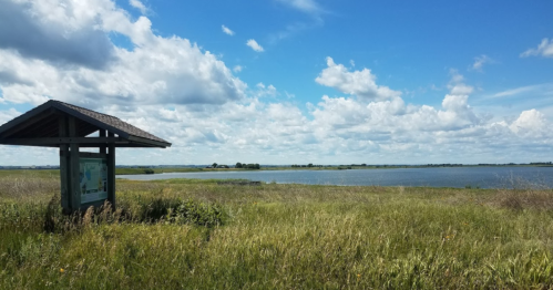A scenic view of a grassy landscape with a lake and a cloudy blue sky, featuring an informational sign on the left.