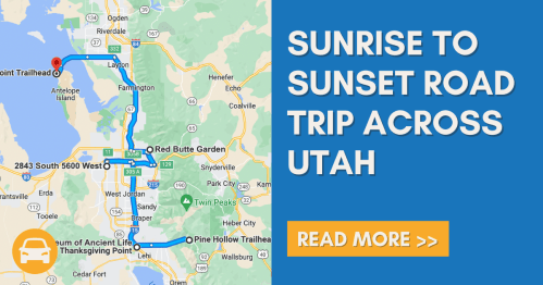 Map showing a road trip route across Utah from Point Trailhead to Pine Hollow Trailhead, with a "Read More" button.