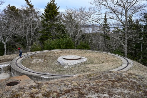 A person walks along a circular concrete platform surrounded by trees and grass on a cloudy day.