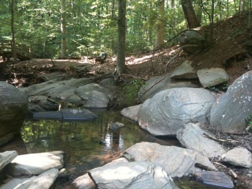 A serene forest scene featuring a small stream surrounded by large rocks and lush greenery.