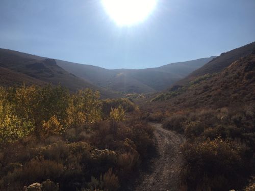 A sunlit valley with a winding dirt path, surrounded by autumn-colored foliage and mountains in the background.