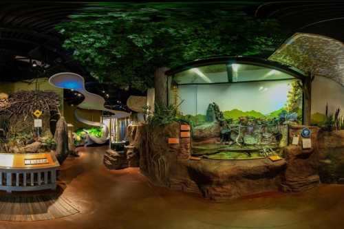 A panoramic view of a nature exhibit featuring plants, rocks, and a display of animals in a naturalistic setting.