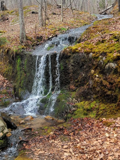 A small waterfall cascades over moss-covered rocks in a wooded area, surrounded by fallen leaves and trees.