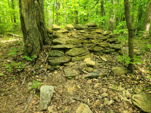 A stone wall made of stacked rocks in a lush green forest, surrounded by trees and fallen leaves.