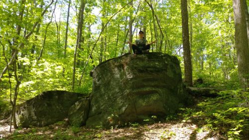 A person sits on a large rock surrounded by lush green trees in a sunny forest.